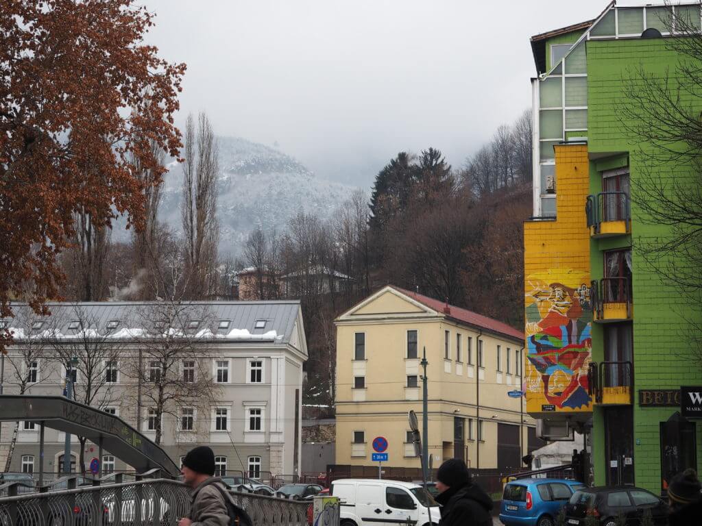 papagajka di sarajevo